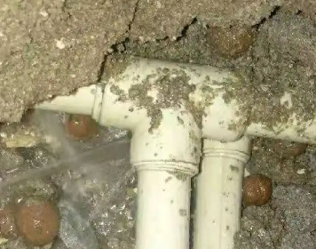 东至测漏水多少钱