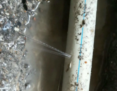 东至测漏水哪家好