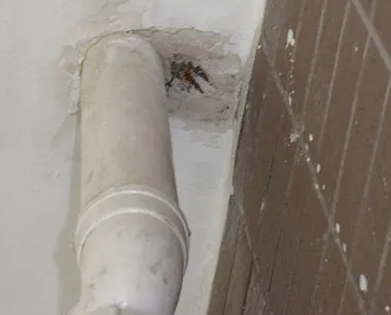 东至漏水检测哪家好